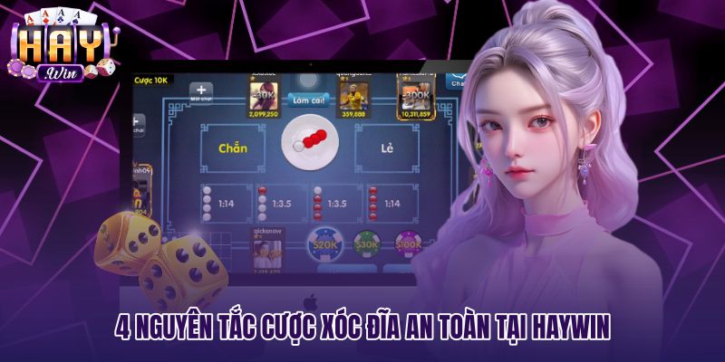 Nguyên tắc cược an toàn khi Bắt vị xóc đĩa tại Haywin