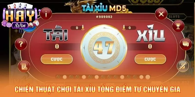 Chiến thuật chơi tài xỉu tổng điểm từ chuyên gia