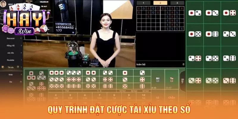 Quy trình đặt cược tài xỉu theo số