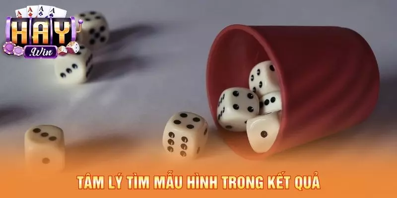 Tâm lý tìm mẫu hình trong kết quả