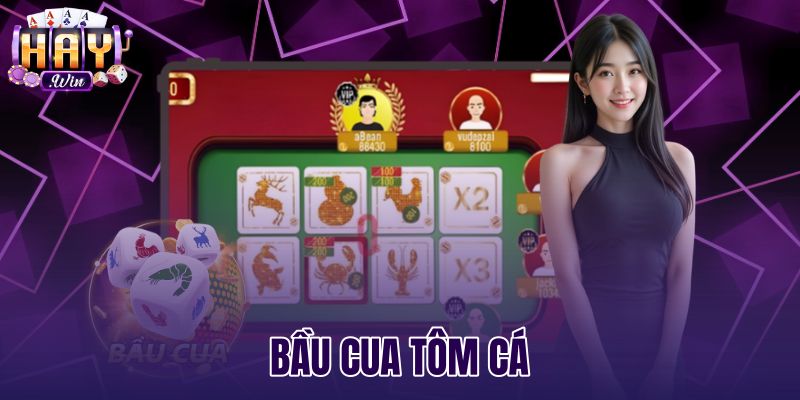 Bầu Cua Tôm Cá - Luật Chơi Và Tỷ Lệ Thưởng Tại Haywin