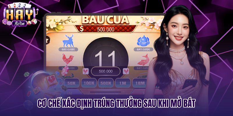 Cơ chế xác định thưởng lắc bầu cua sau khi mở bát