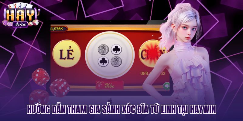 huong-dan-tham-gia-sanh-xoc-dia-tu-linh-tai-haywin Các bước tham gia bàn cược Xóc đĩa tứ linh tại Haywin