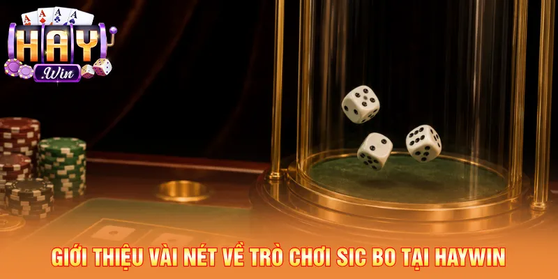 Luật chơi Sic Bo đoán tổng điểm của ba viên xúc xắc