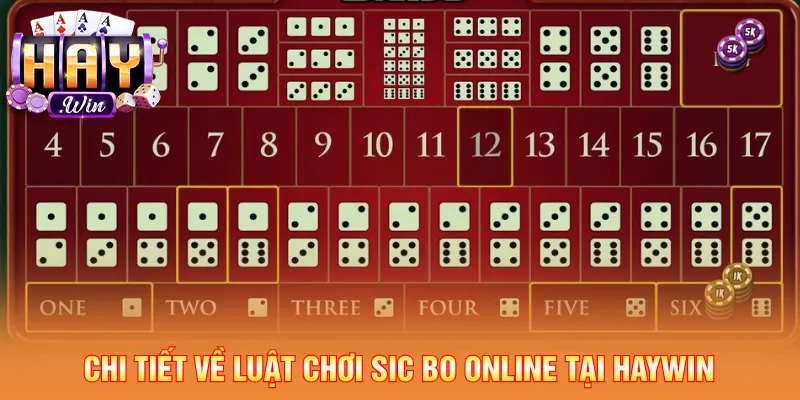 Người mới nắm rõ quy trình đặt cược khi chơi HAYWIN